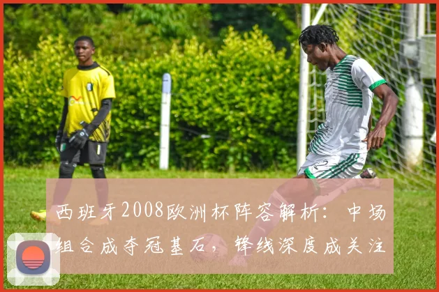 西班牙2008欧洲杯阵容解析：中场组合成夺冠基石，锋线深度成关注点