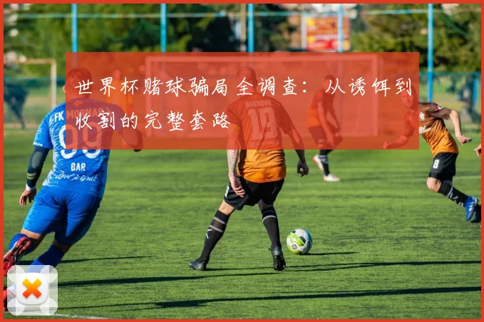世界杯赌球骗局全调查:从诱饵到收割的完整套路
