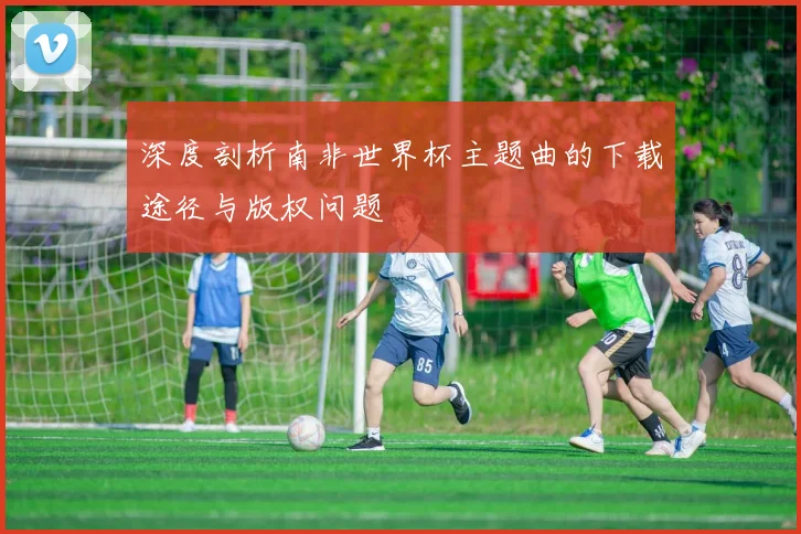 深度剖析南非世界杯主题曲的下载途径与版权问题