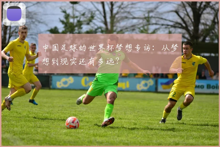 中国足球的世界杯梦想专访：从梦想到现实还有多远？