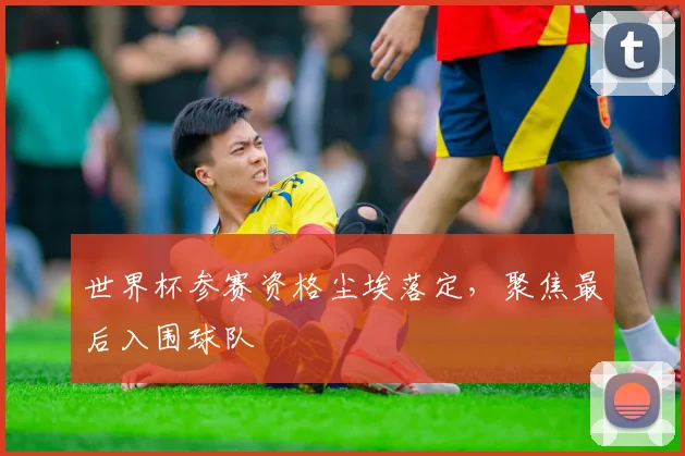 世界杯参赛资格尘埃落定,聚焦最后入围球队