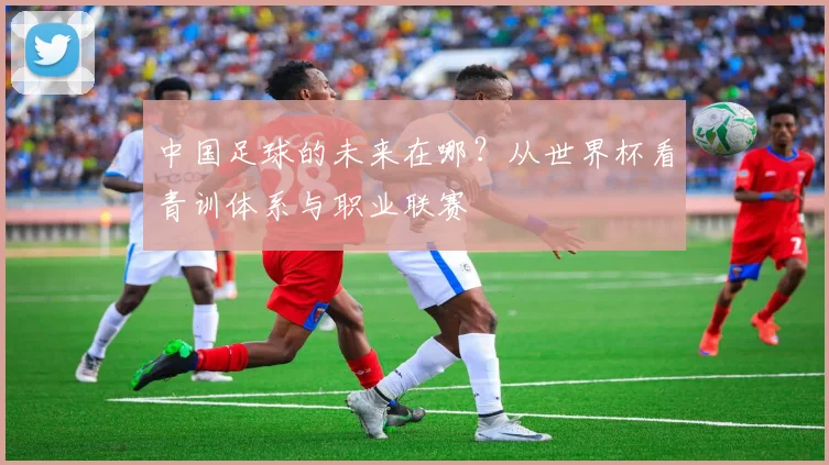 中国足球的未来在哪？从世界杯看青训体系与职业联赛