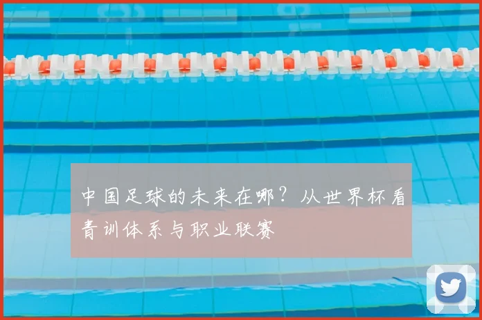 中国足球的未来在哪？从世界杯看青训体系与职业联赛