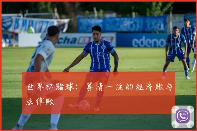 世界杯赌球：算清一注的经济账与法律账