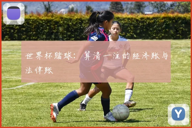 世界杯赌球：算清一注的经济账与法律账